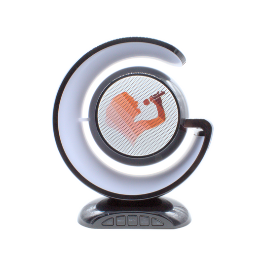 Bocina karaoke portátil RGB YS110